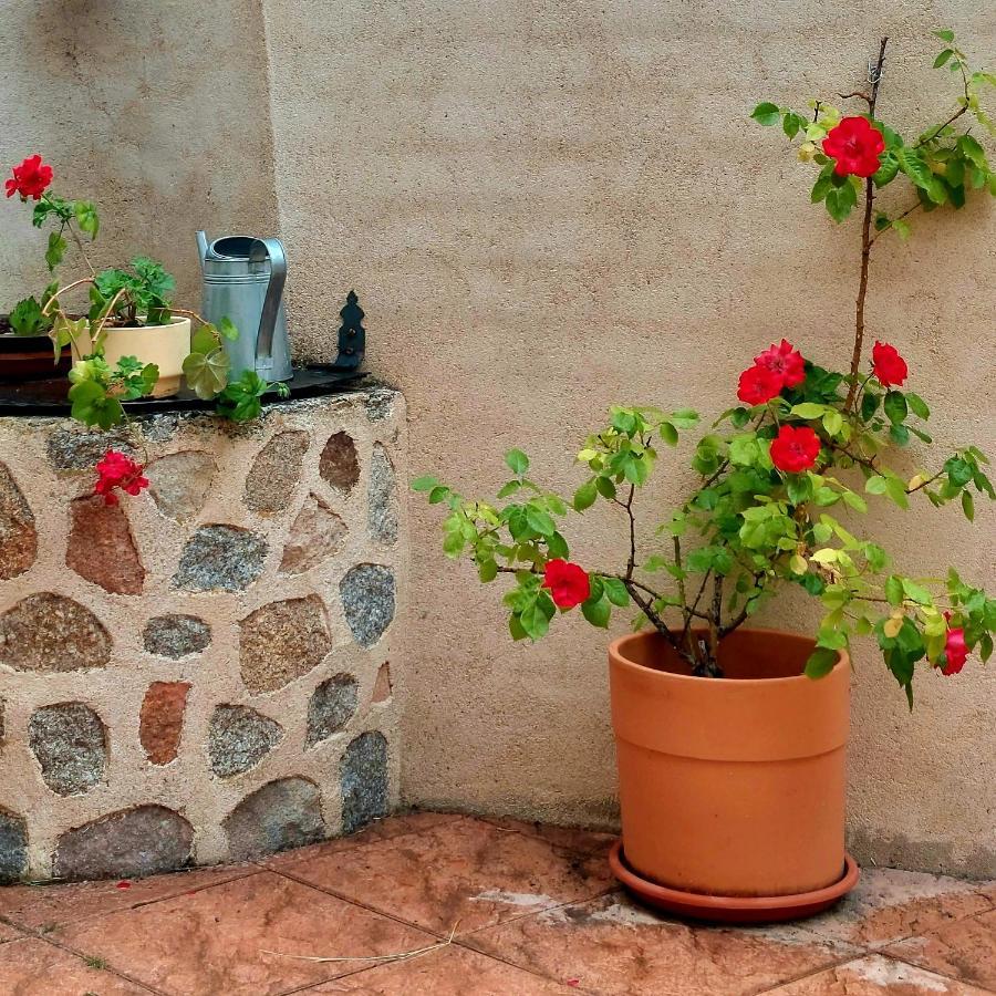 Casa Rural Abuela Reme El Fresno Zewnętrze zdjęcie